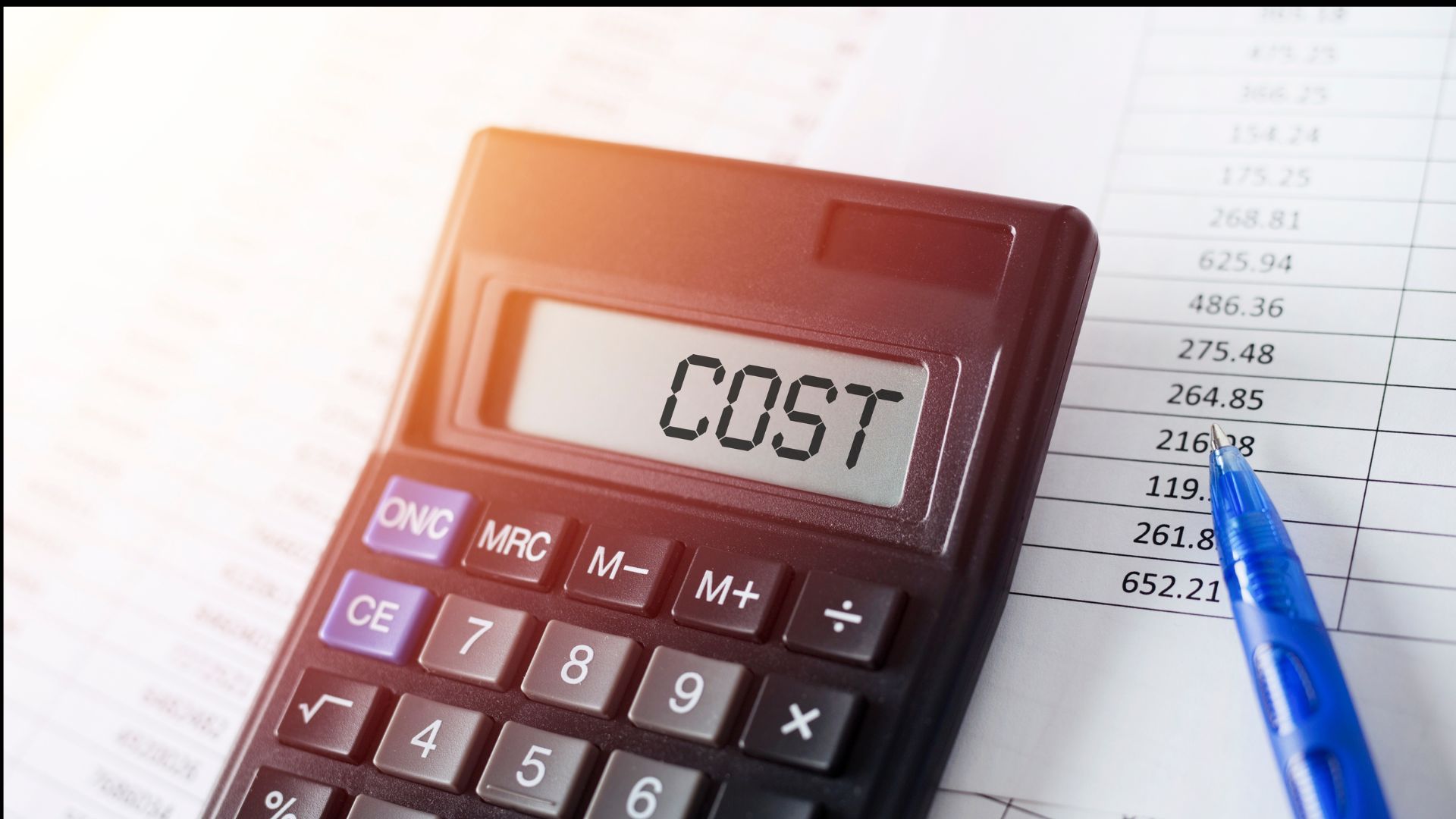 Poland vs Germany Developer Cost
