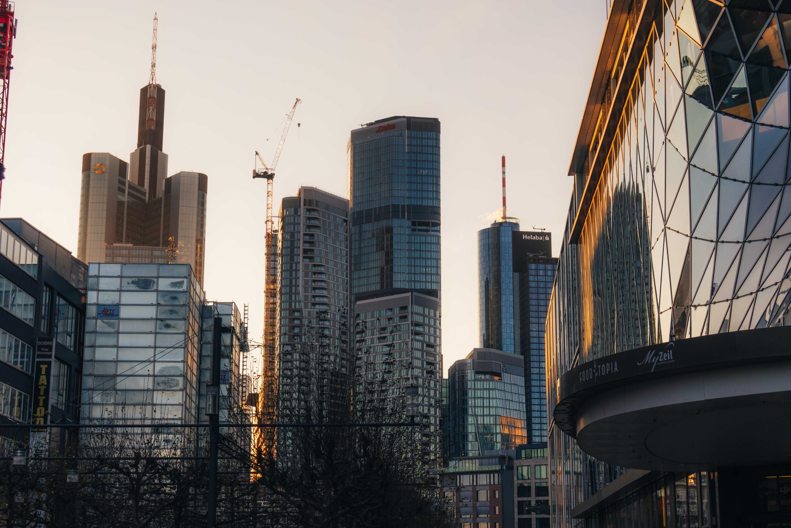 Scale-Up Dept Build Frankfurt
